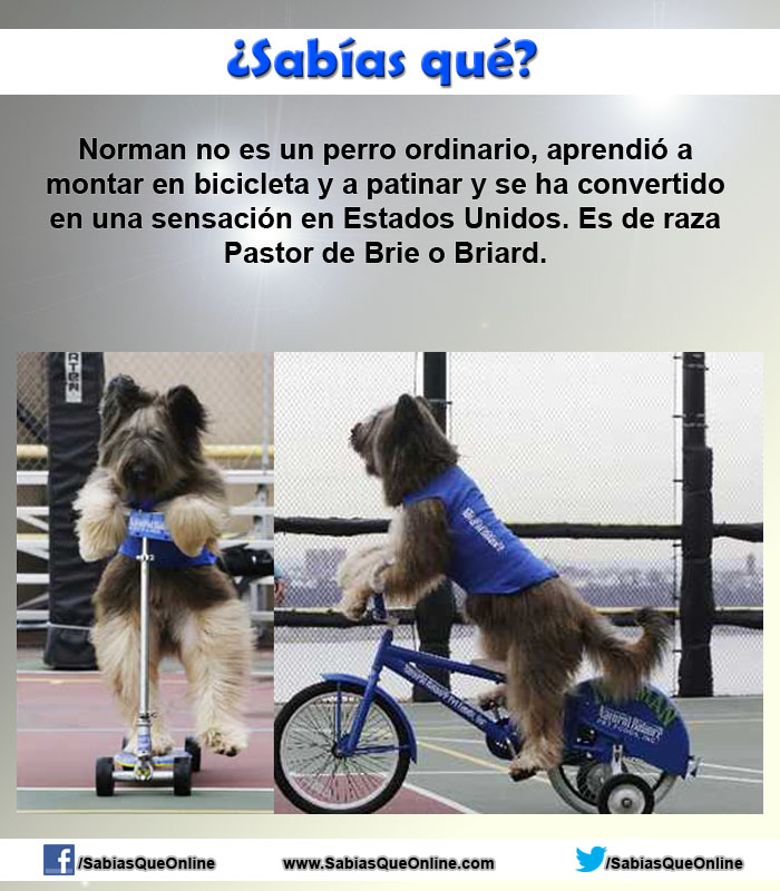 Daltonismo Daltonismo
