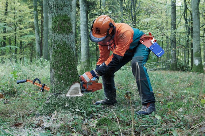 Teknik Menebang Pohon (bag.8) : Teknik Membuat Felling Cut (Dasar