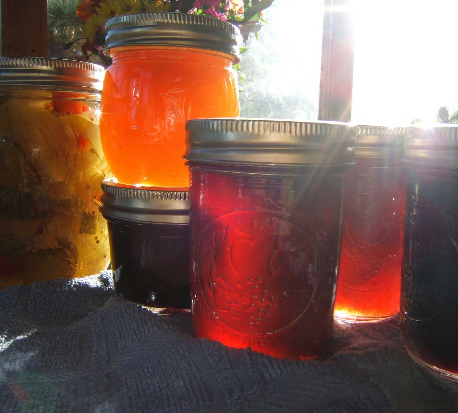 Pickles and Jam. Wonderful morning sunlight in Taos Canyon, New Mexico Wonderful morning sunlight shining through my jars of jam, Taos Canyon, New Mexico