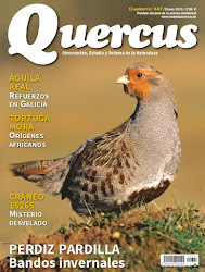 REVISTA QUERCUS