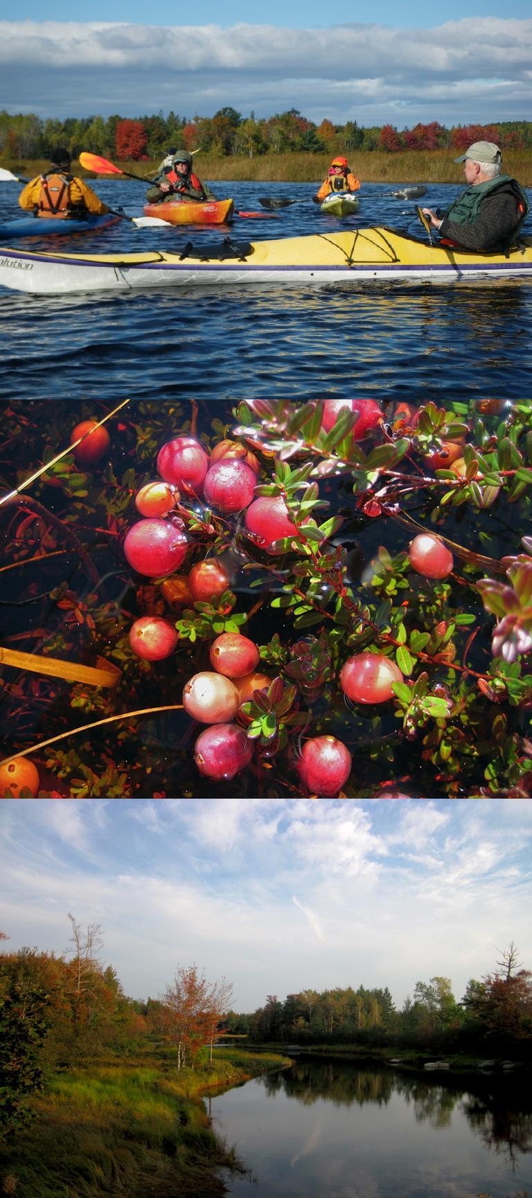 Downeast Audubon Property