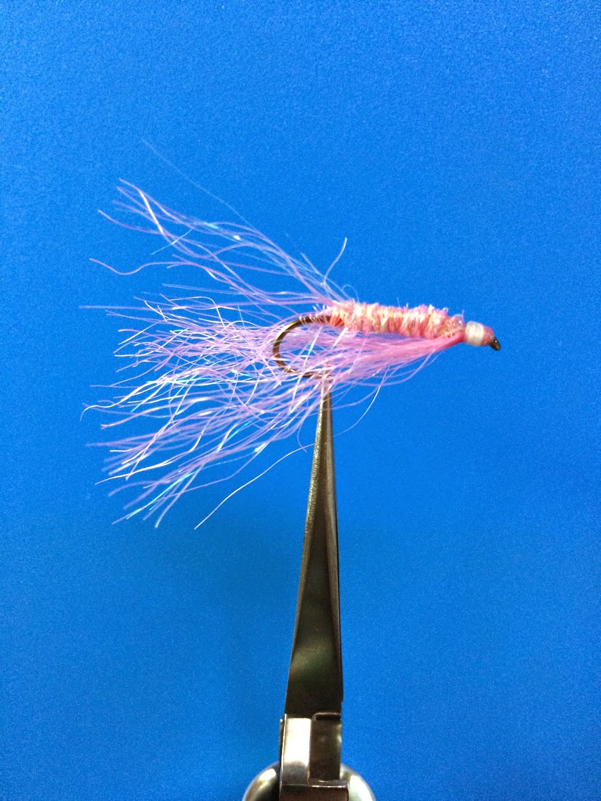Fly Fishing Journal Ugly Flies