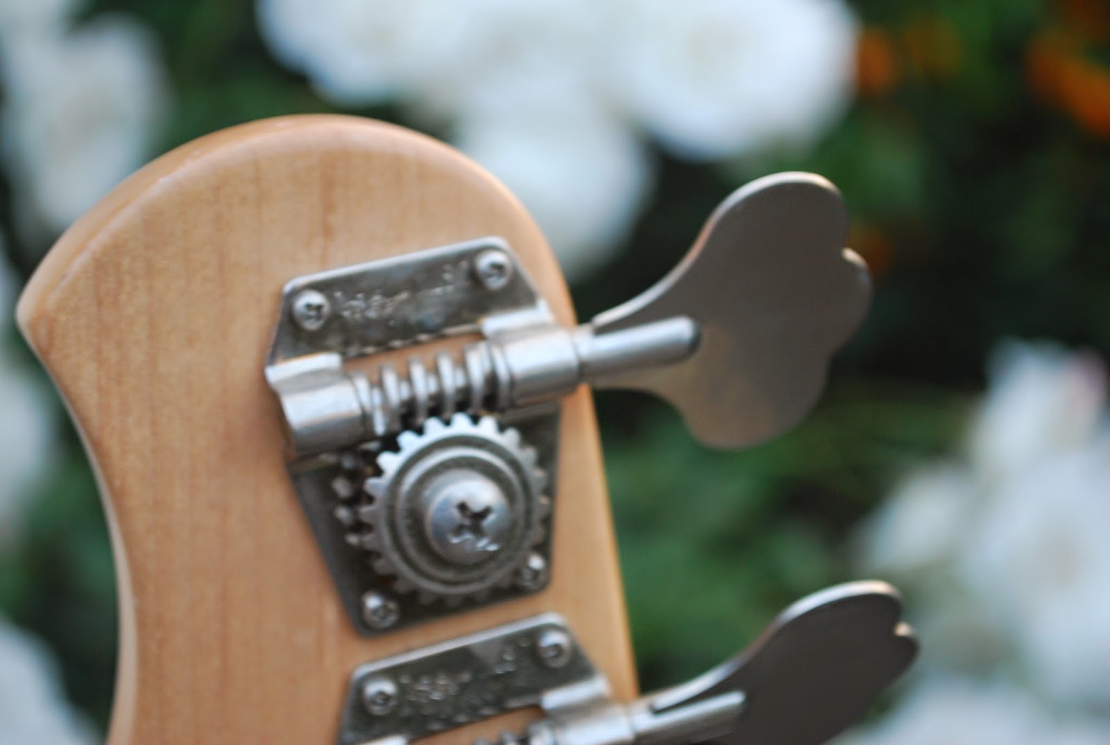 Rex and the Bass 2000 Ernie Ball MusicMan Stingray 5 Bass Review