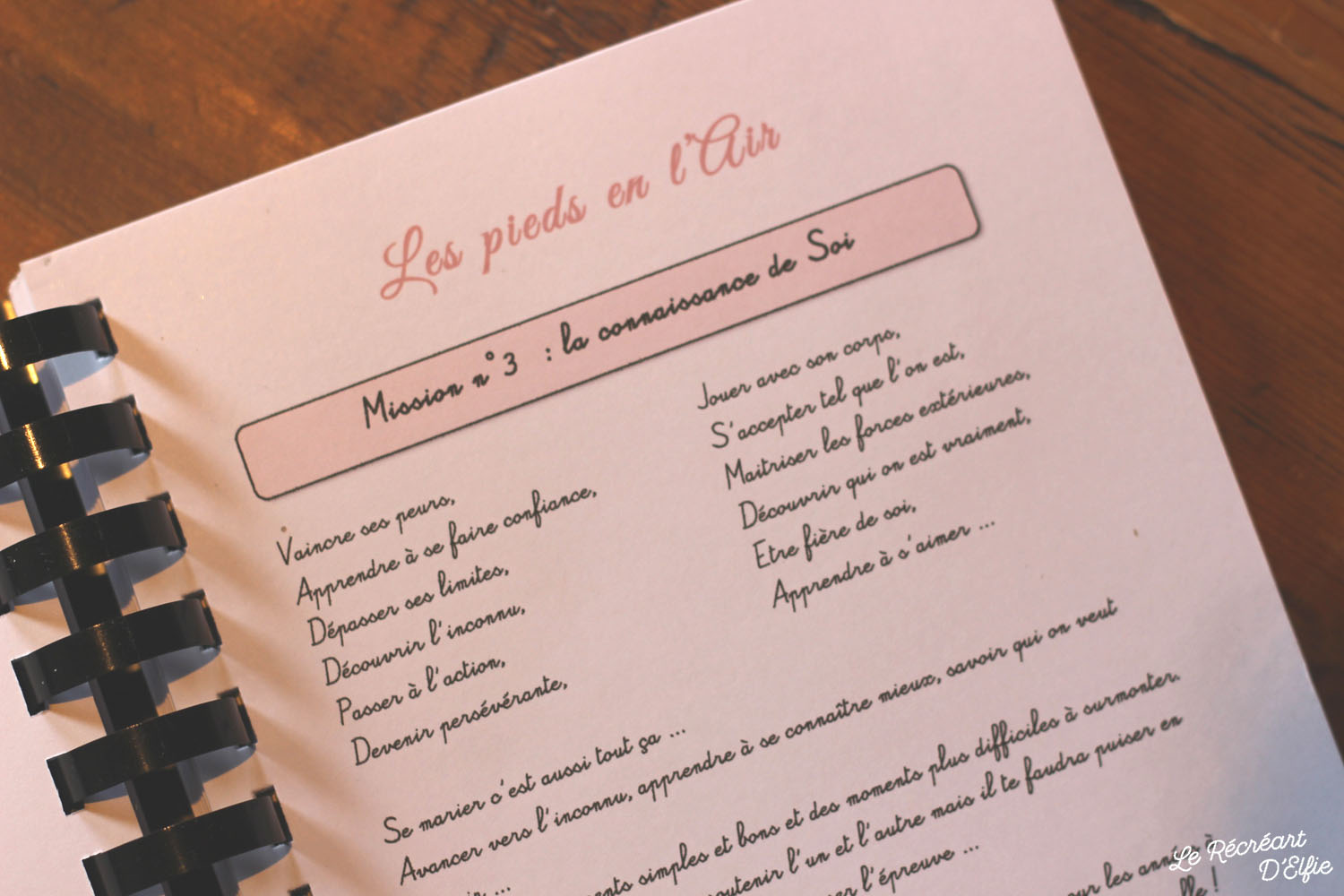 Le Récréart Delfie Souvenirs pour un Enterrement de Vie