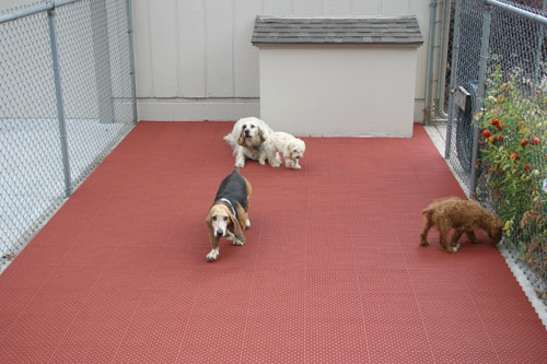 rubber kennel flooring
