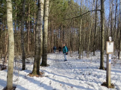 hikers in the snow