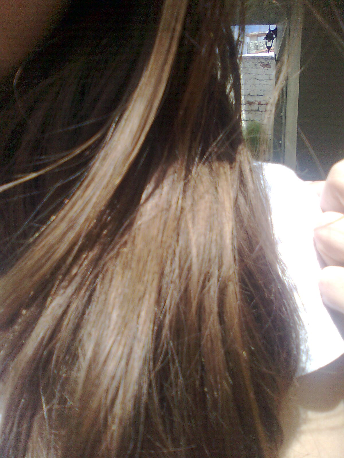 Tienes el cabello Mixto y no sabes qué hacer Lee esto Tienes el cabello Mixto y no sabes qué hacer Lee esto