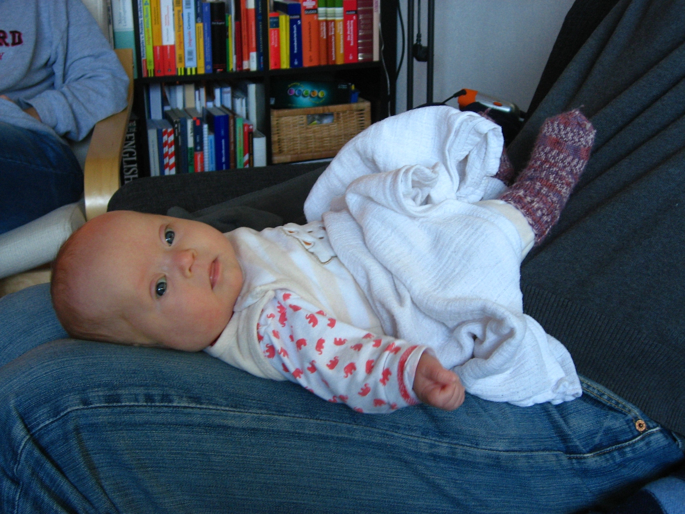 Down-Syndrom Blogs: November 2011