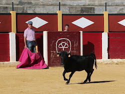 Becerra de Pepe Mayoral