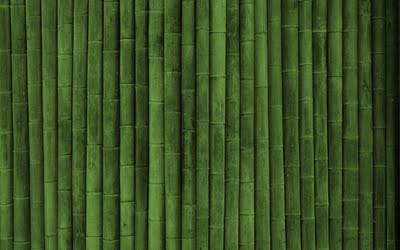 sfondo verde bambu