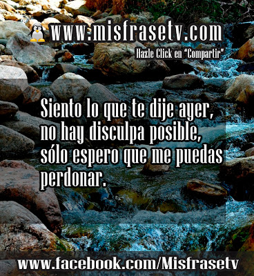 frases de disculpas cortas frases de disculpas cortas