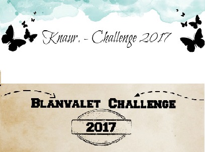 Challenges 2017
