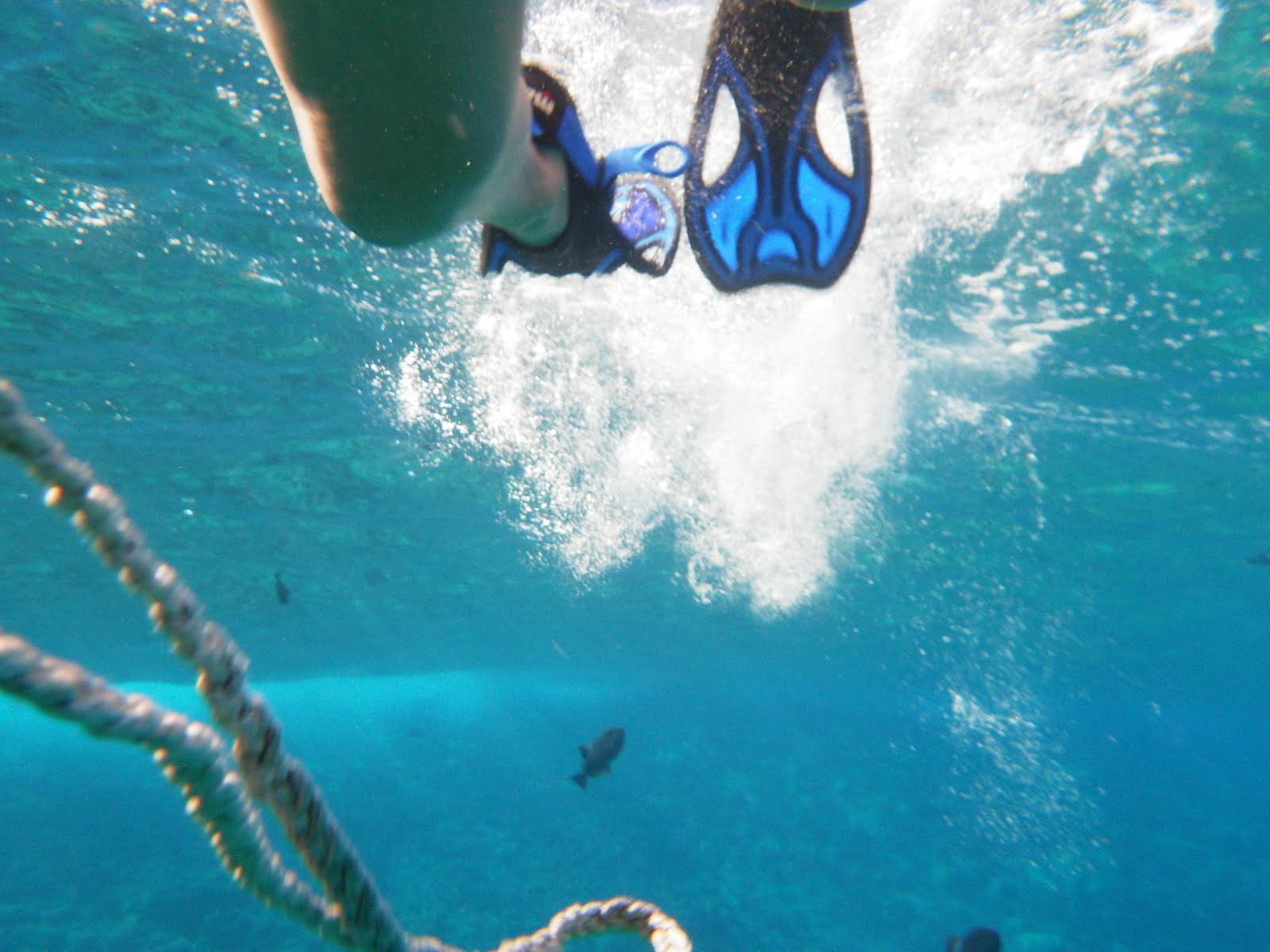 Kodiak Haakansons Snorkeling & Scuba Diving Expedition