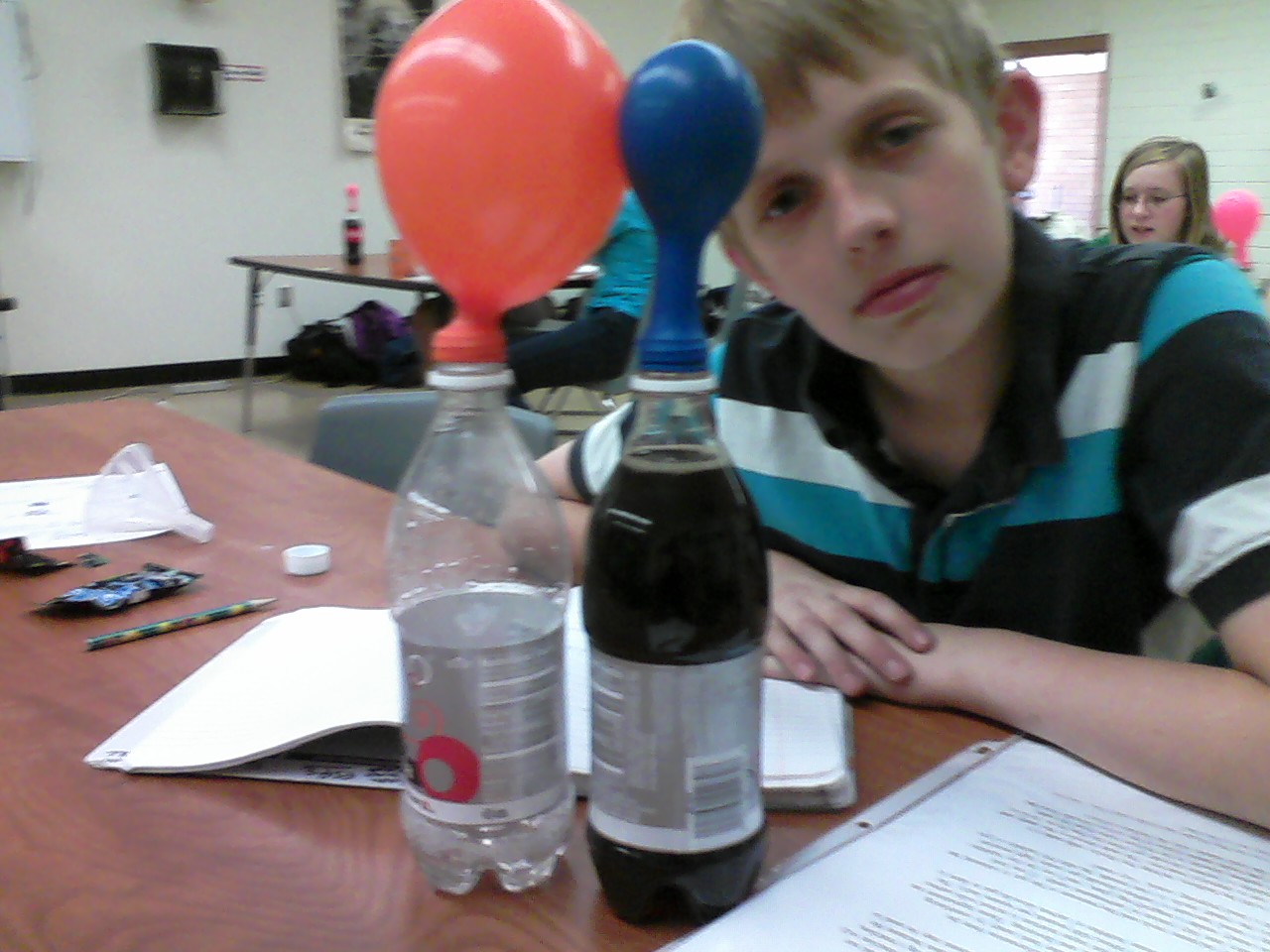 Chemistry Reflection Conservation of Mass Lab Investigation