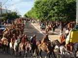 FESTA DOS VAQUEIROS