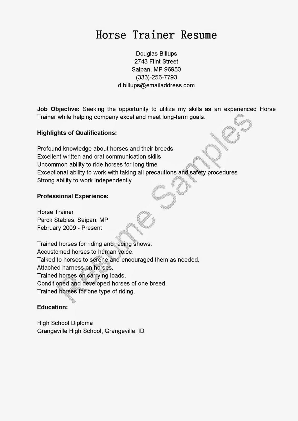 resume retail objective