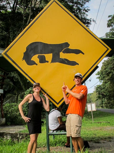 1 of 7: THE SLOTH CAPITAL OF THE WORLD