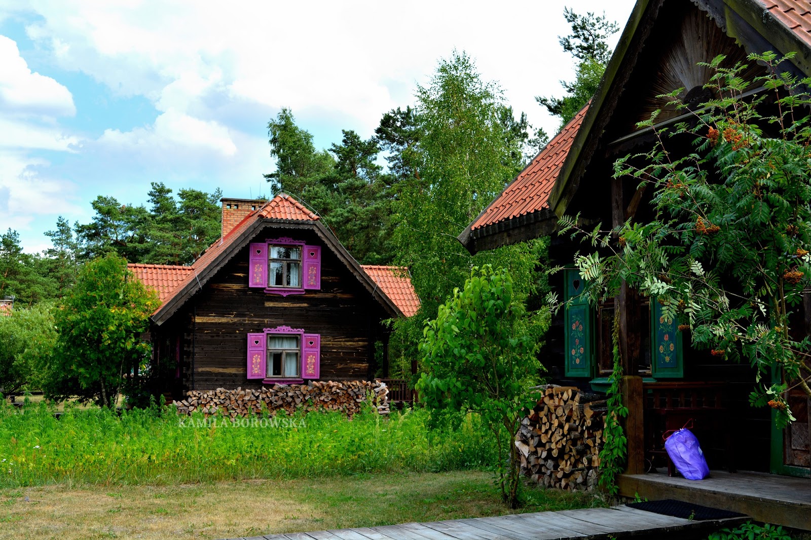 DSC_0307.JPG