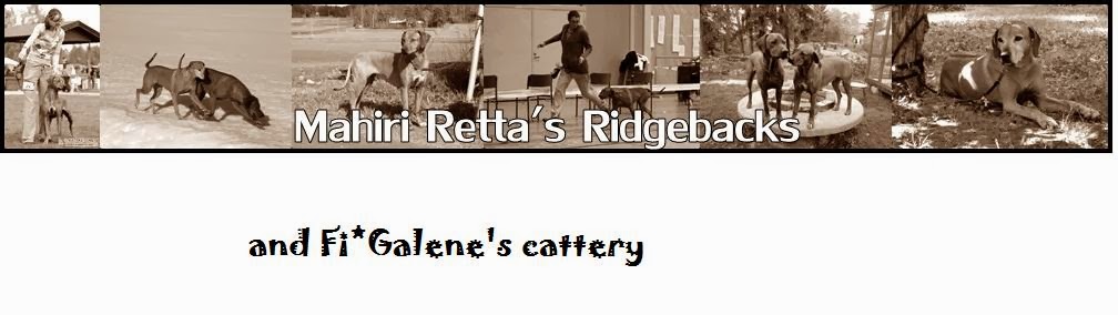 Mahiri Retta's Rhodesian Ridgebacks & Fi*Galene's cattery