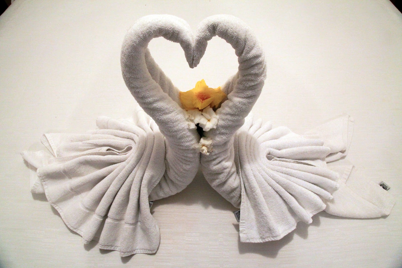 curving back swans sculpted from towels