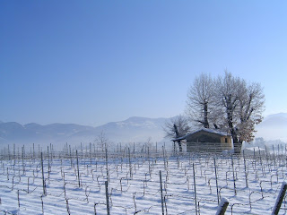 www.franciacorta.net www.franciacorta.net