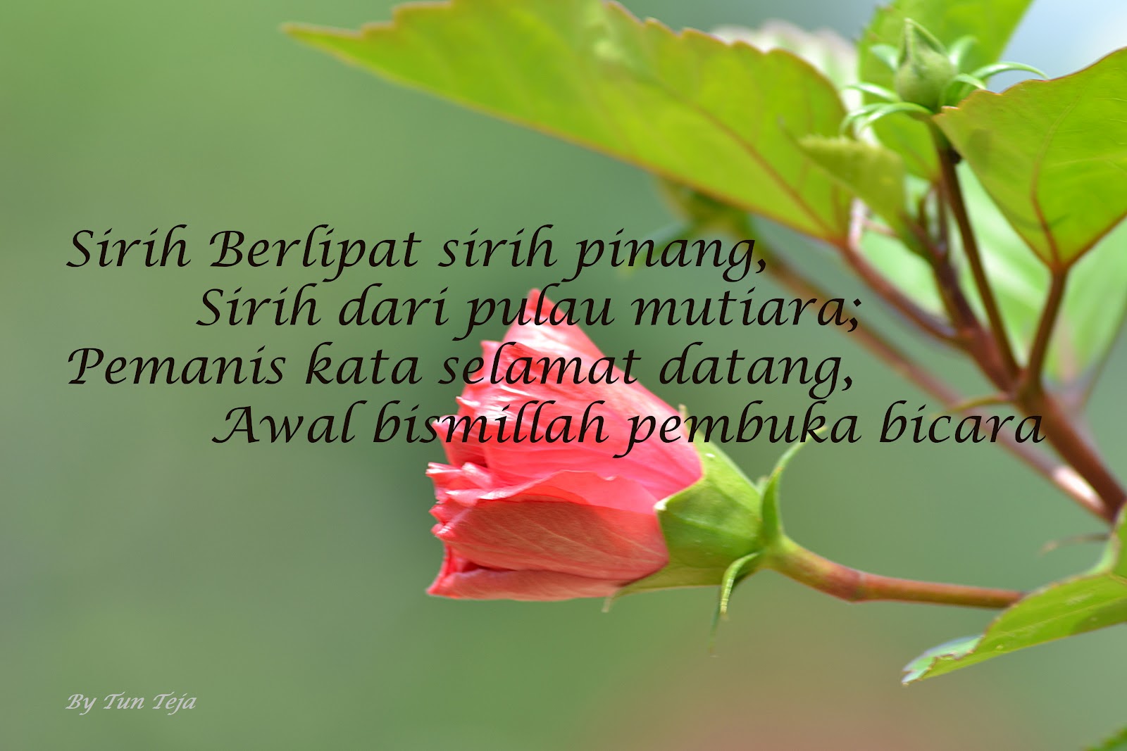 Laman Bahasa RANCANGAN PENGAJARAN HARIAN