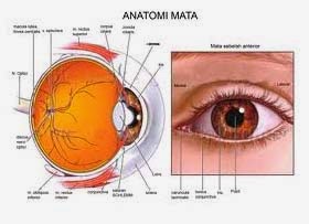 dr oz indonesia cara mengobati mata minus dr oz indonesia cara mengobati mata minus