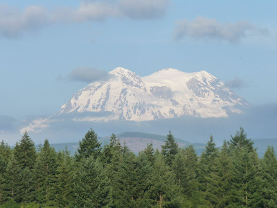 from the same place, hours later, and the mountain is out Mt Rainier