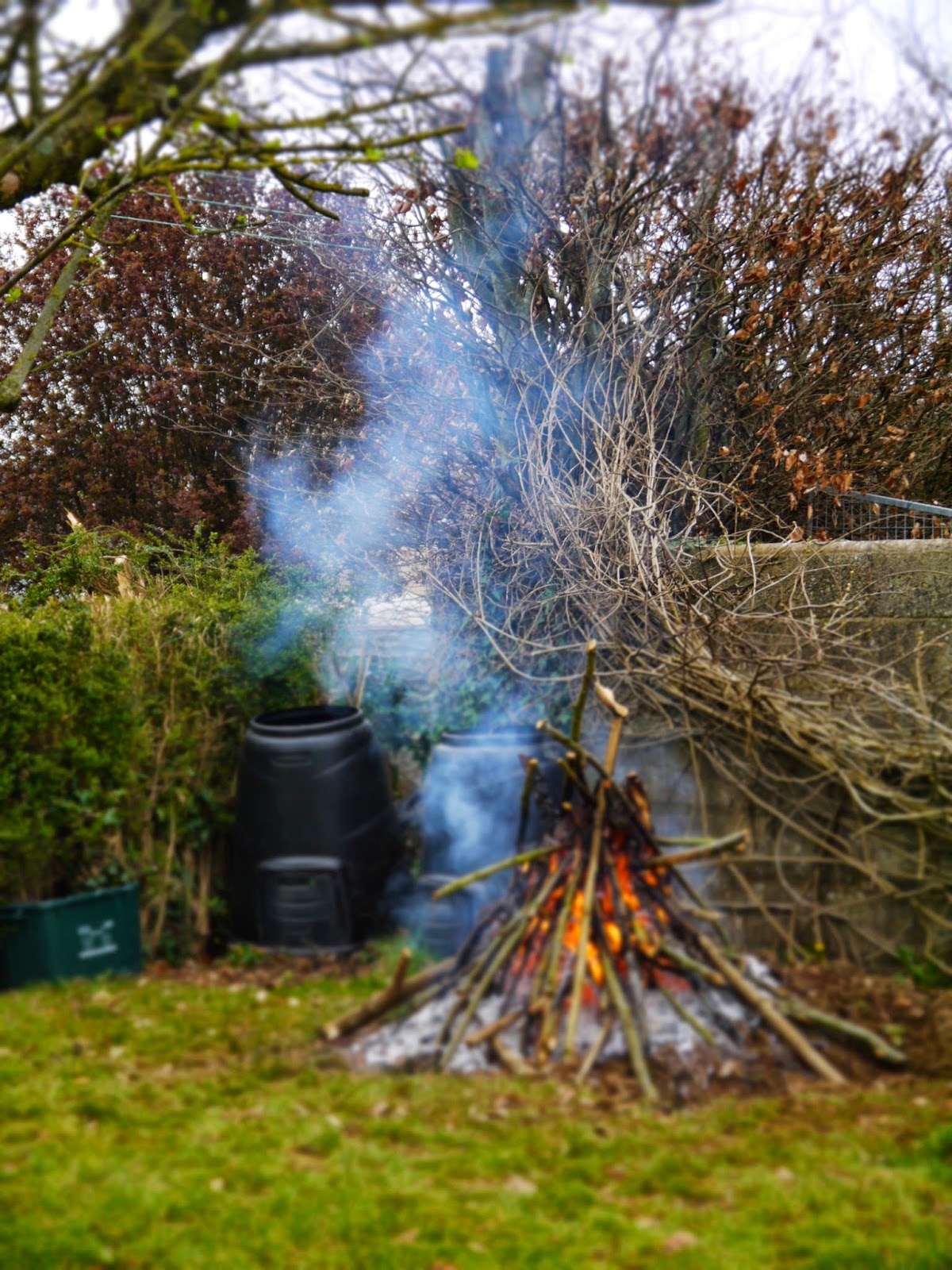 Burning twigs in a bonfire