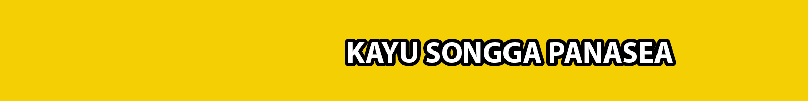 Kayu Songga : Obat Tifus, Malaria, Cacar Air, Darah Rendah/Tinggi, Asam Urat, Malaria, Diabetes dll.