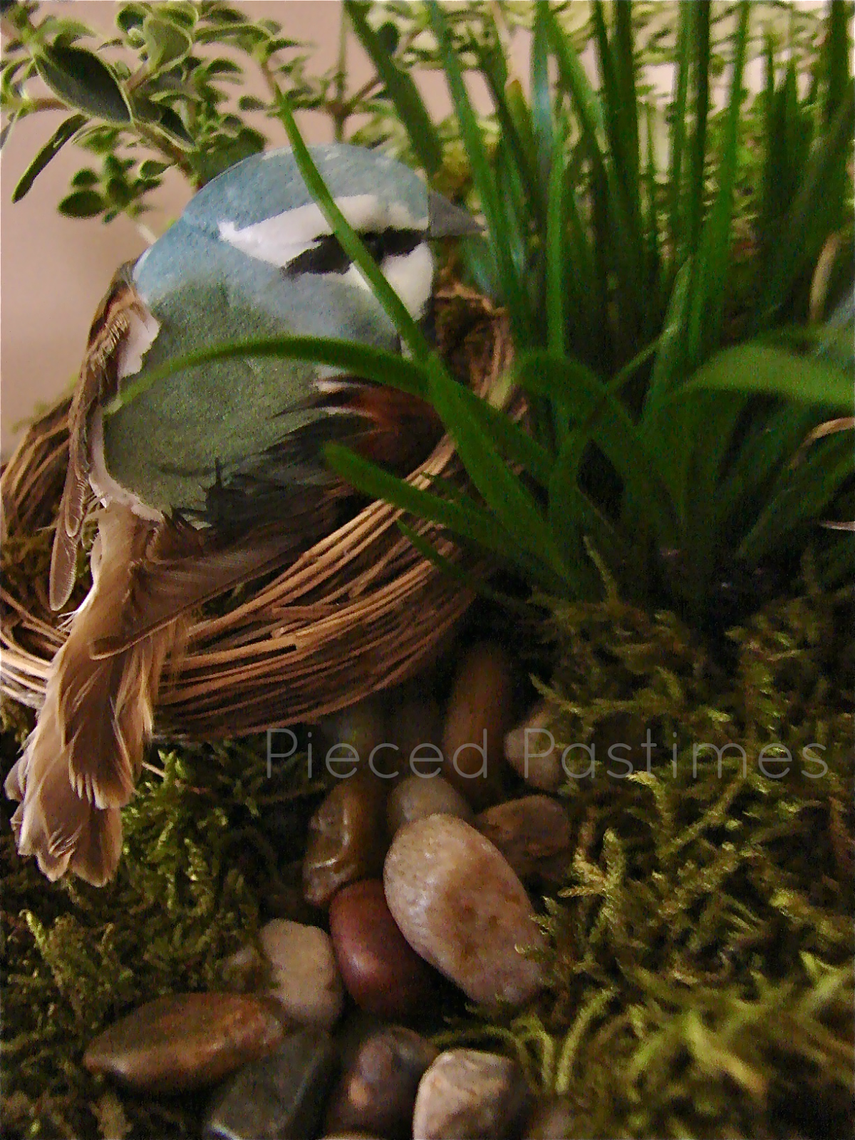 Pieced Pastimes Terrarium Tutorial