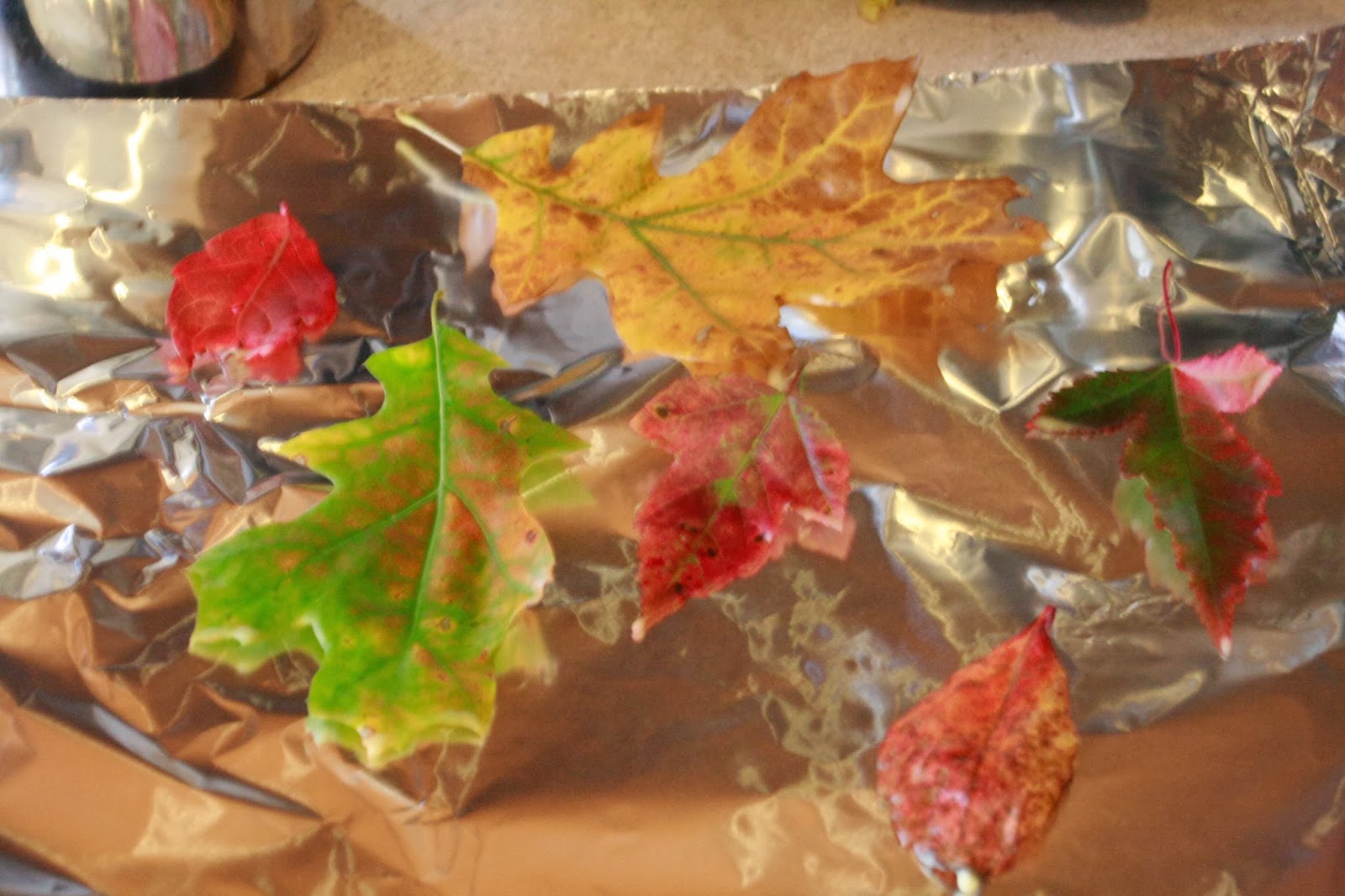 beeswax modeling clay and fall leaves craftyness June Cleaver in