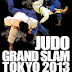 GRAND SLAM DE TOKIO 2013. <BR>29, 30 de noviembre y 1 de diciembre.