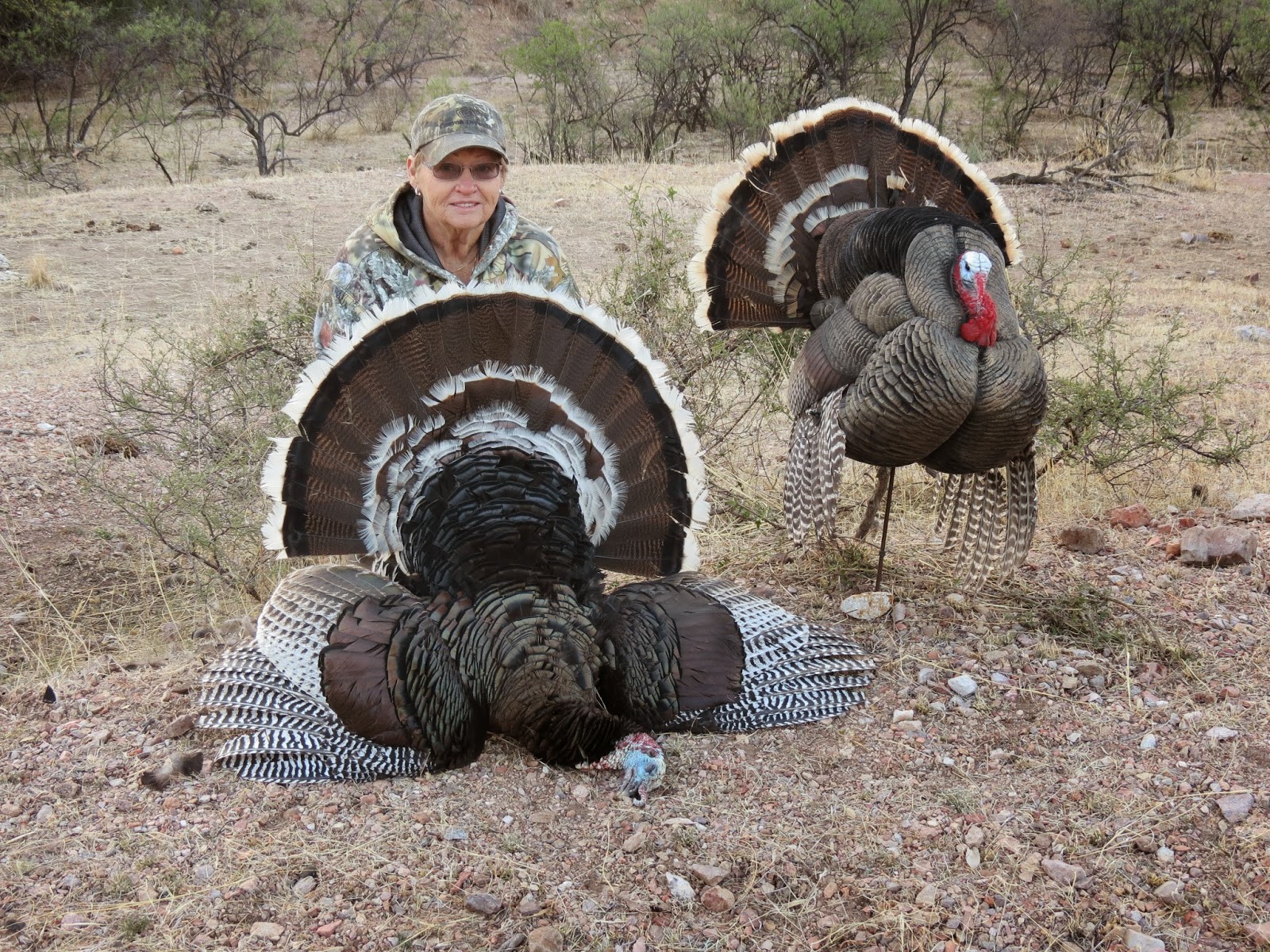 Hunting+Gould's+Turkeys+in+Mexico+with+Colburn+and+Scott+Outfitters+and+Jay+Scott.++Peggie+and+TJ+Joiner+1.JPG