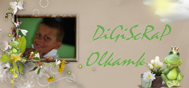 DigiScrap Olkamk