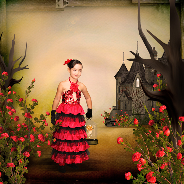 user posted image