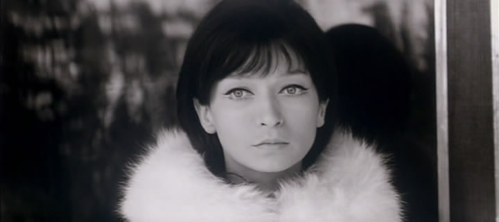 Dita Saxova movie
