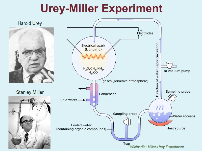 Gary miller sperm research