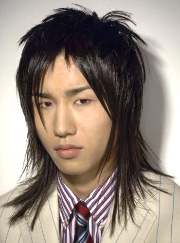 Hairstyles Haircuts Men Hairstyle Long Mens Hairstyles