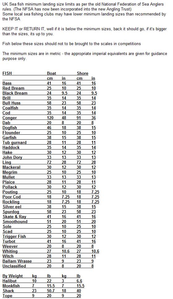 Kent Coastal Fishing Fish sizes Fish sizes