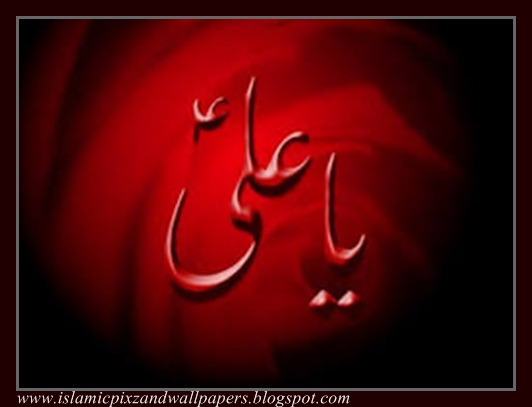 Islam Wallpaper: name of Ali  wallpapers