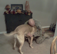 Air force Best Friend Dog Best Friend