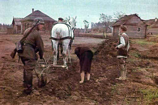 A German soldier plows along with Russian peasants.jpg