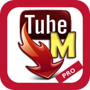 Tubemate downloader for windows 8
