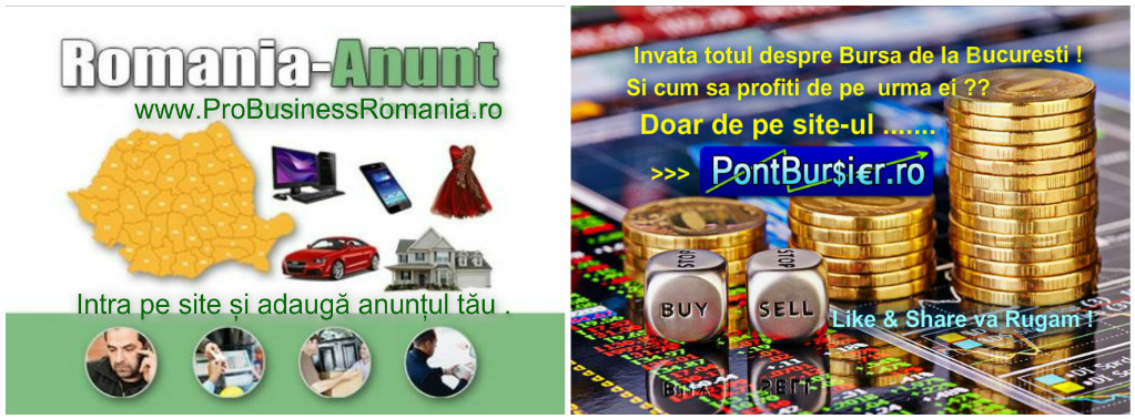 Ghidul Investitorului la Bursa de la București !