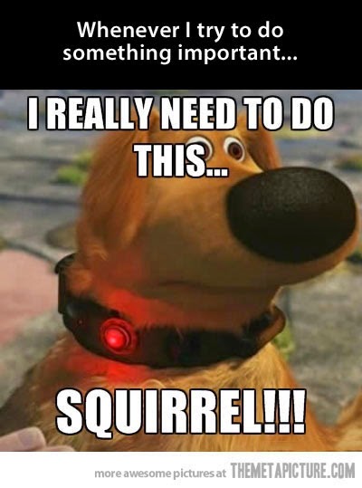 up squirrel quotes from up doug squirrel quotesgram up squirrel quotes from up doug squirrel quotesgram