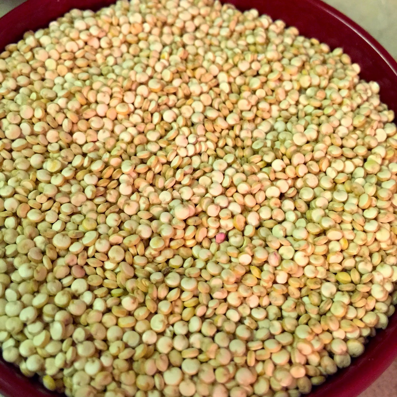 Quinoa Idli (Steamed Multi Grain Lentil Cakes) For a Healthy