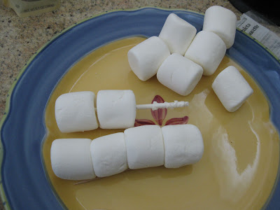 marshmallows on a stick