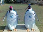 SCULPTURES OF PENGUINES AS A DUSTBIN IN DEFENCE & BHARIA TOWN LAHORE.