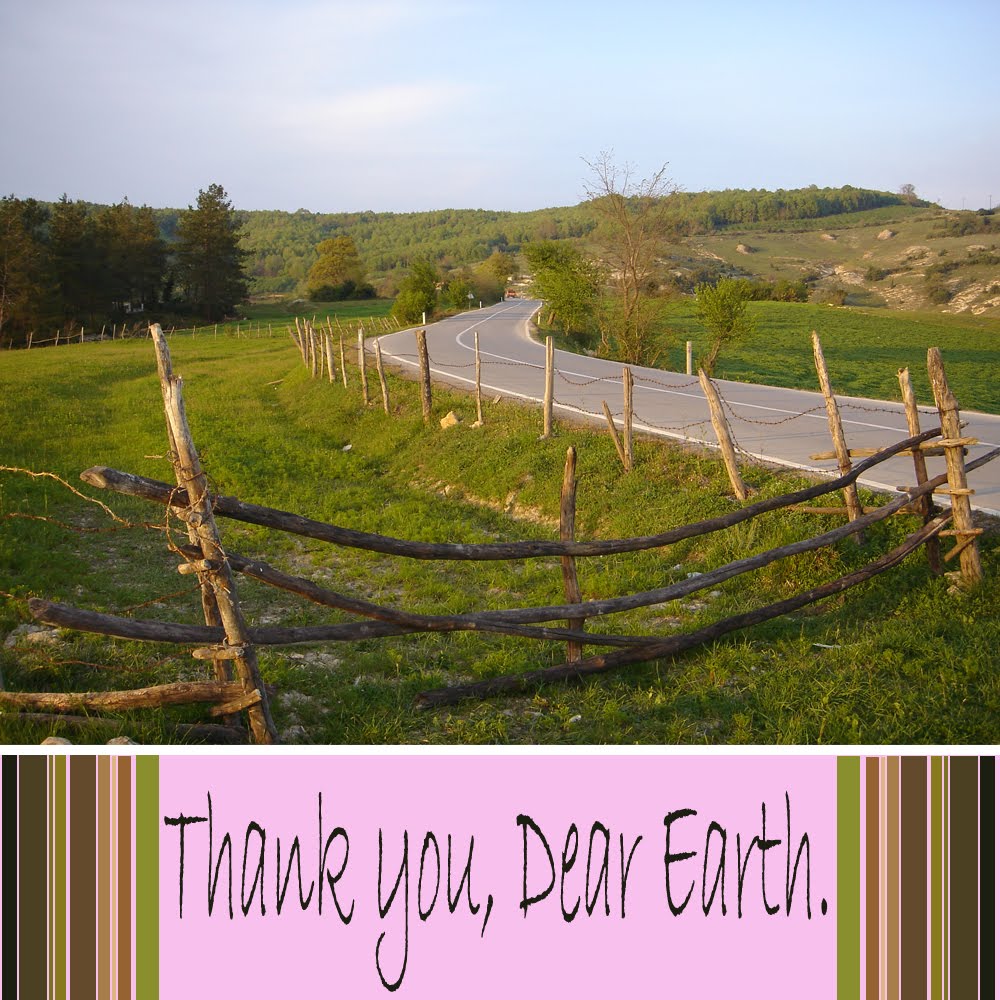Earth_Day_Cosiecosie